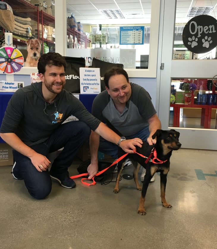 Arlo finds his furever home!