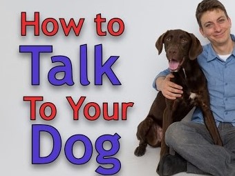How to talk to your dog with Zak George